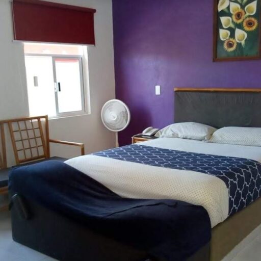 AUTO HOTEL EL PASEO (Querétaro)